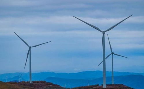 風(fēng)力發(fā)電是垃圾電 歐美拆除風(fēng)機(jī)的真相